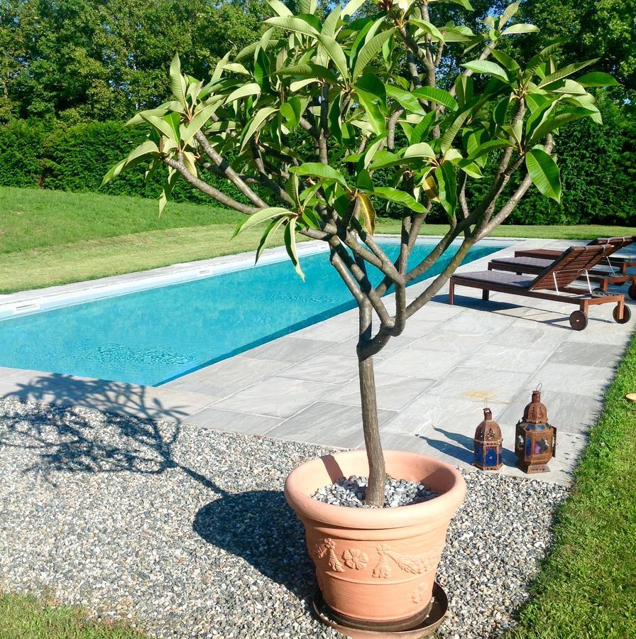 Alla Gazza Ladra Bed and Breakfast Prato Sesia Kamer foto